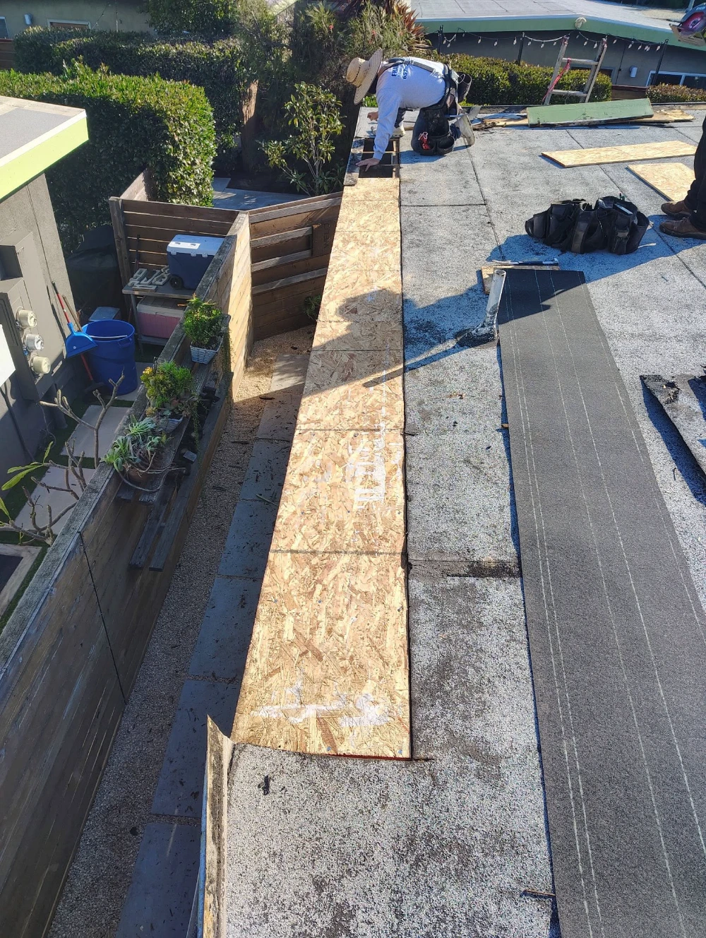 Roof framing and plywood decking under construction